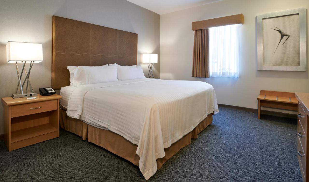 Holiday Inn Hotel & Suites Chihuahua By Ihg Eksteriør bilde